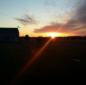 Meet your Posher, Brenda